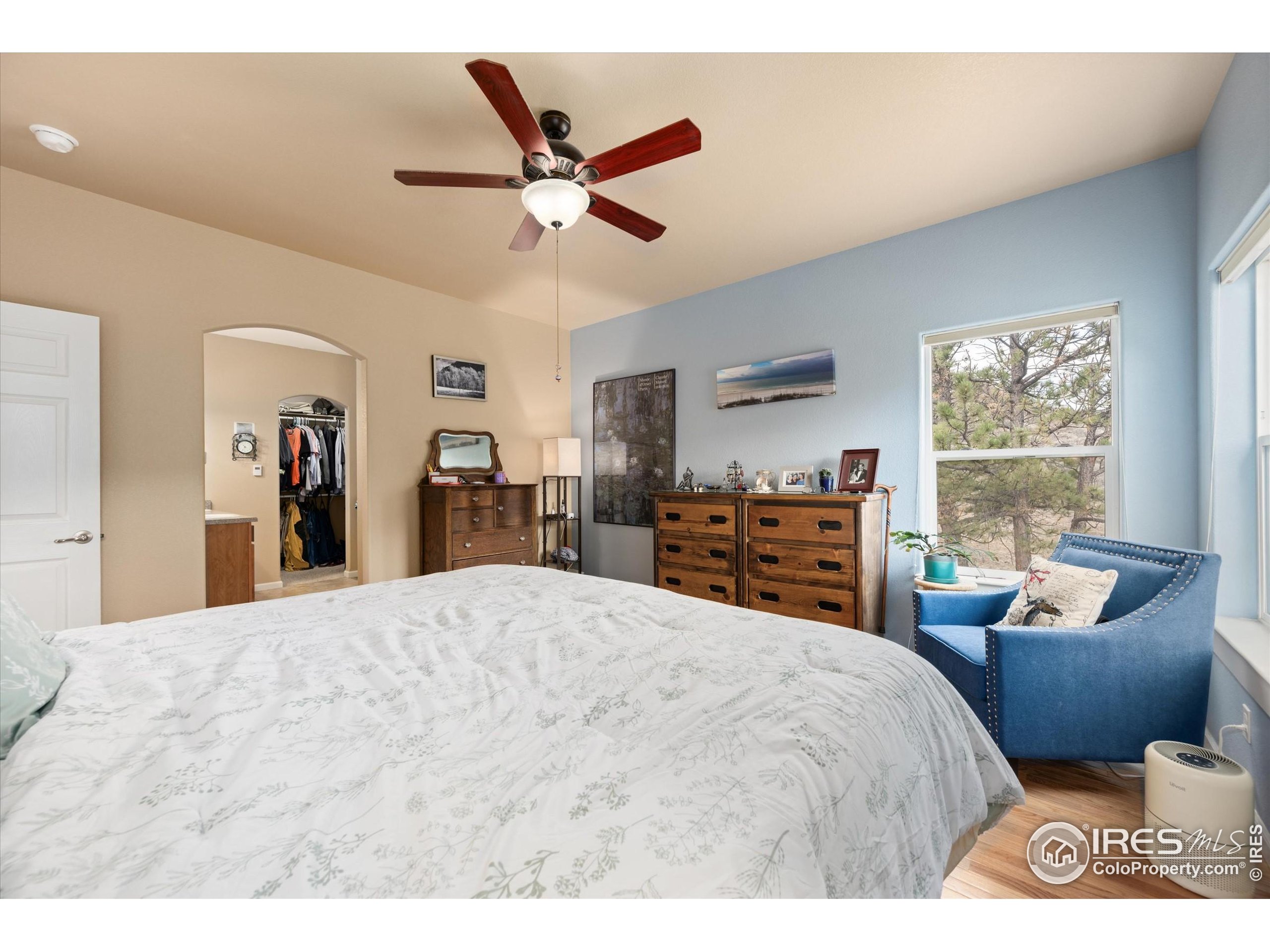 229 Rustic Road Bellvue, CO 80512 - Photo 26 of 50