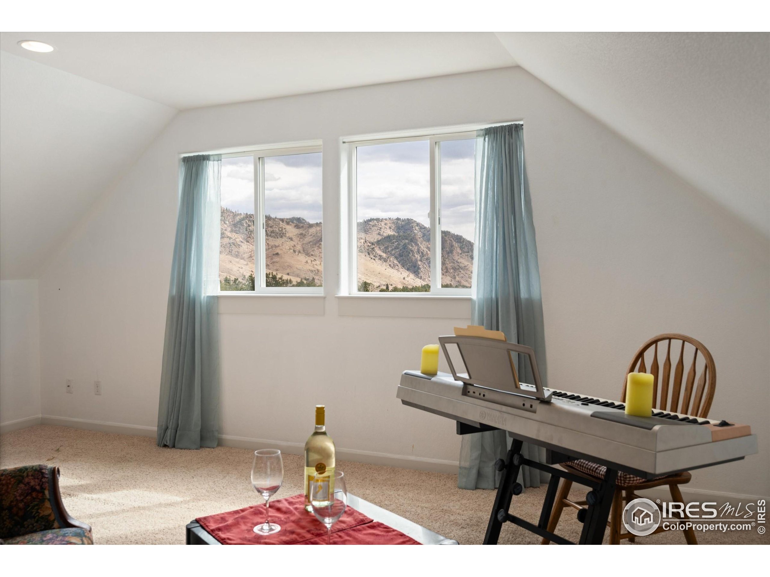 229 Rustic Road Bellvue, CO 80512 - Photo 37 of 50