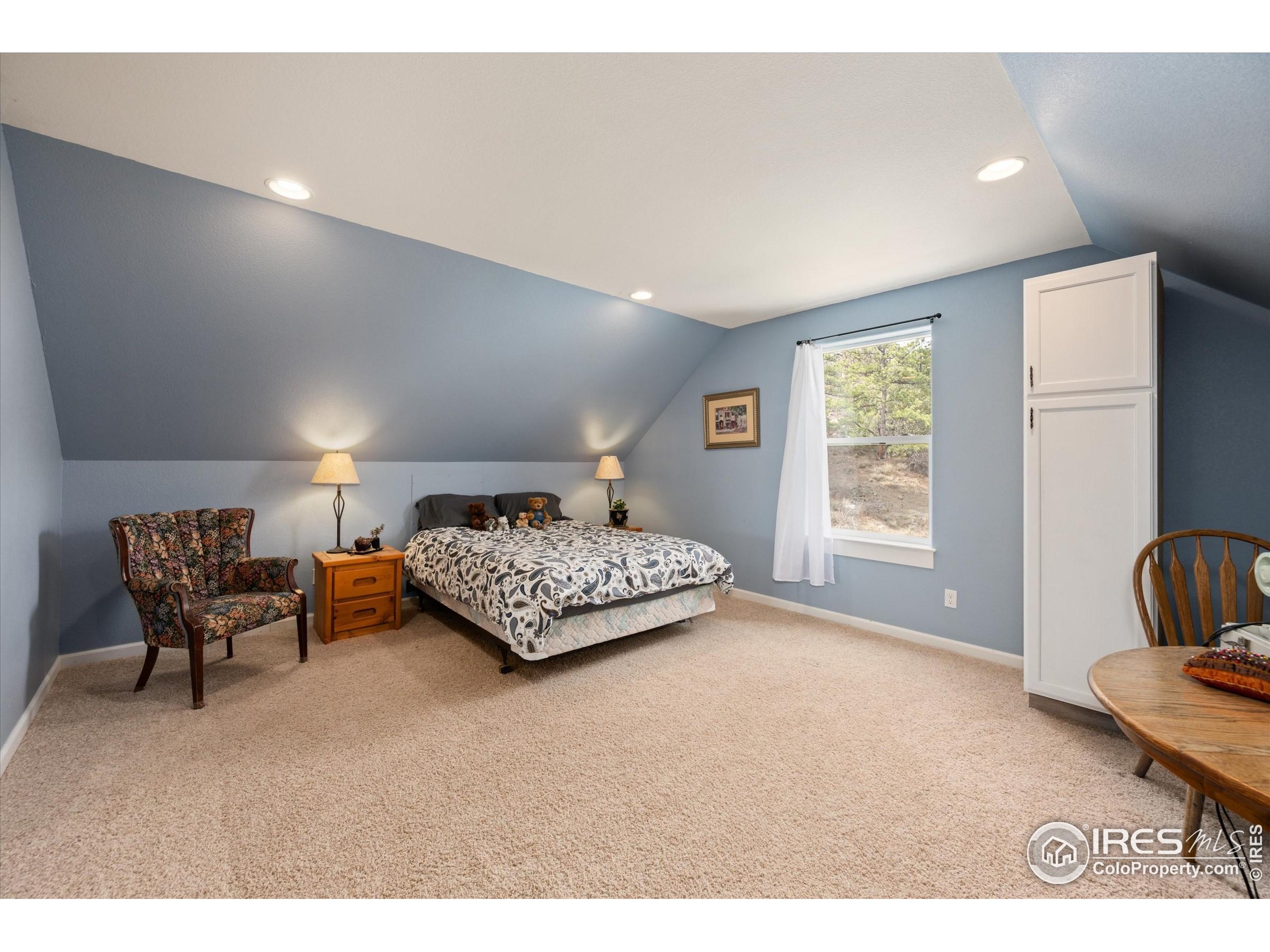 229 Rustic Road Bellvue, CO 80512 - Photo 39 of 50