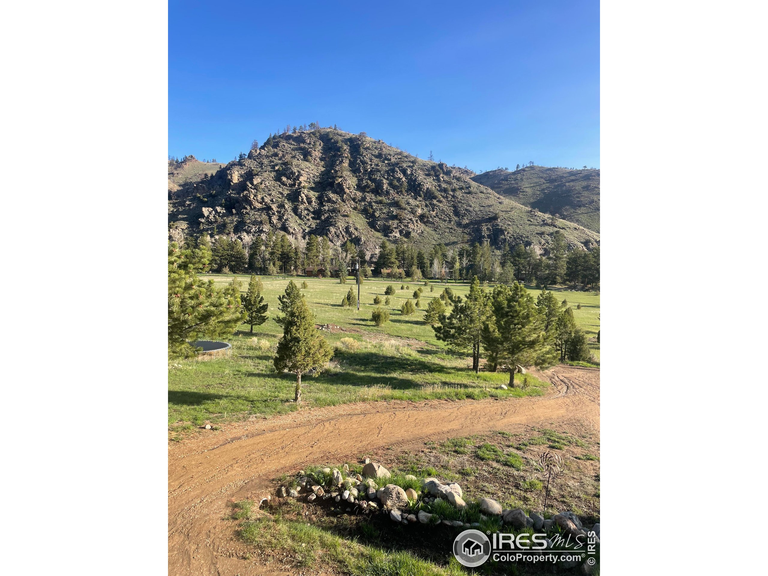229 Rustic Road Bellvue, CO 80512 - Photo 50 of 50