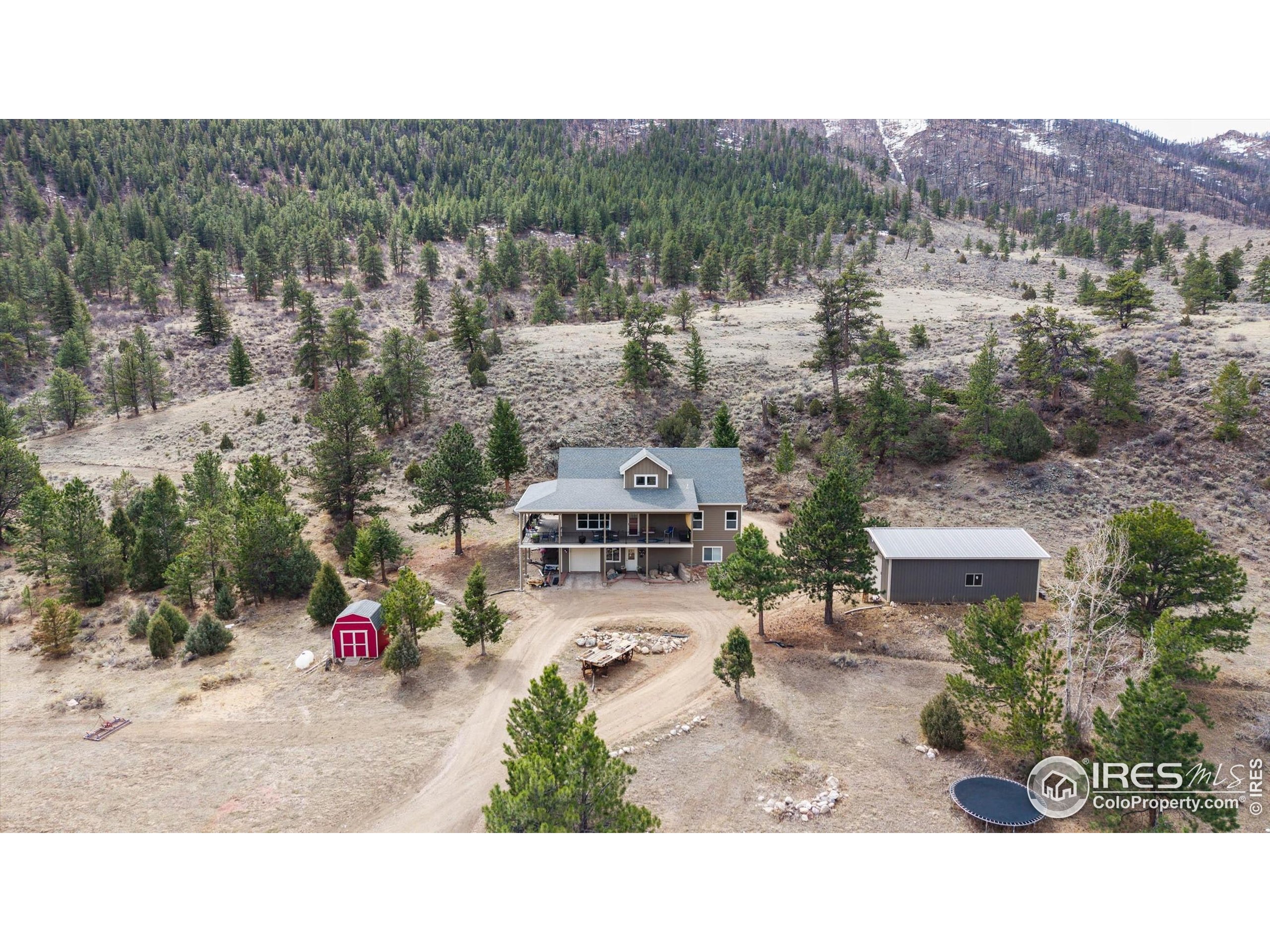 229 Rustic Road Bellvue, CO 80512 - Photo 8 of 50