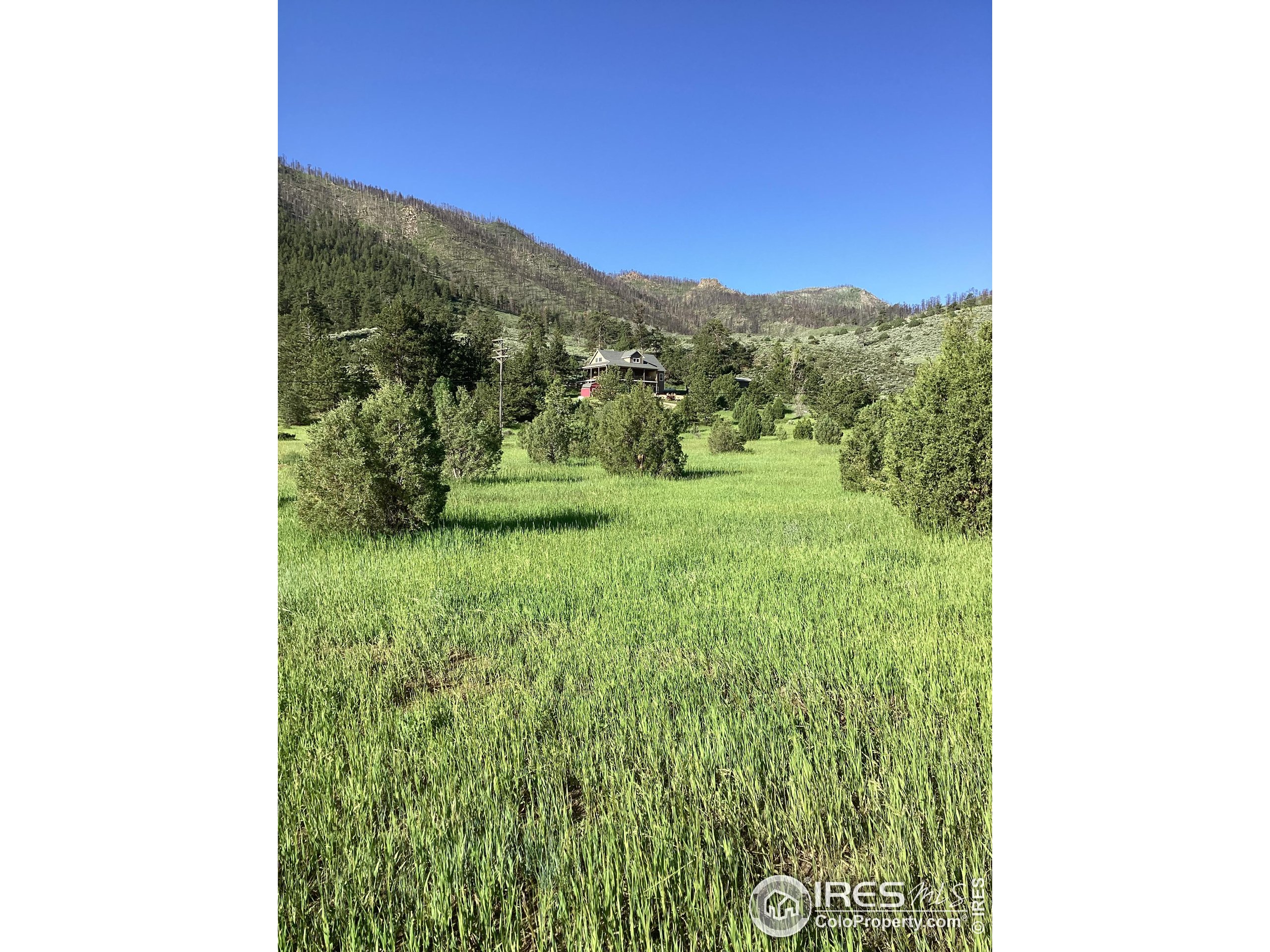 229 Rustic Road Bellvue, CO 80512 - Photo 9 of 50