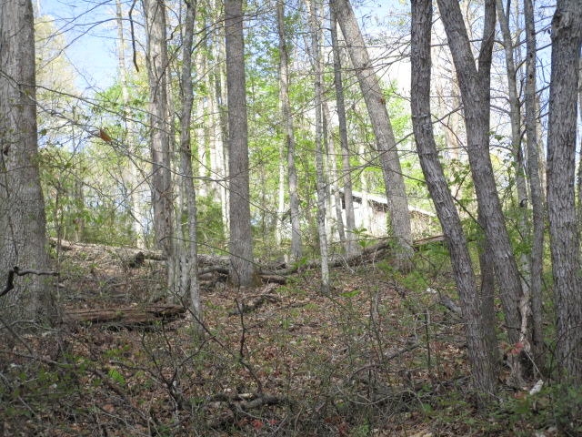 419 Green Welch Road Washburn, TN 37888 - Photo 4 of 5 IMG_2924
