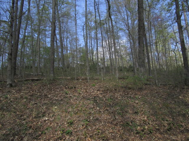 419 Green Welch Road Washburn, TN 37888 - Photo 5 of 5 IMG_2925