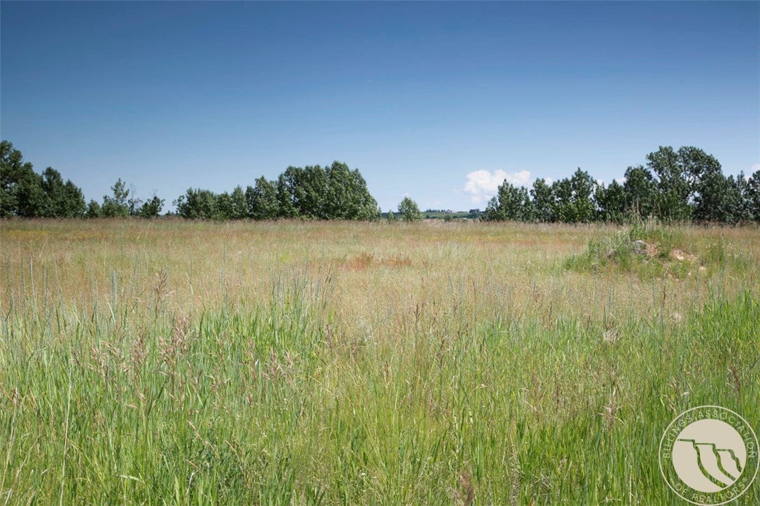 2740 Pine Ridge Road Red Lodge, MT 59068 - Photo 30 of 30 Gallery Image 30