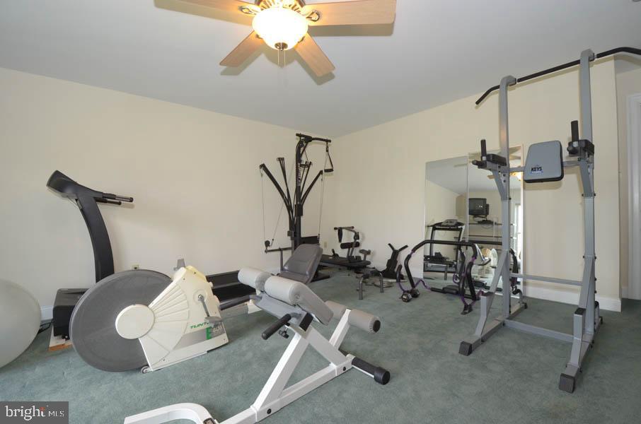 221 Marple Road Haverford, PA 19041 - Photo 23 of 34 Gallery Image 23
