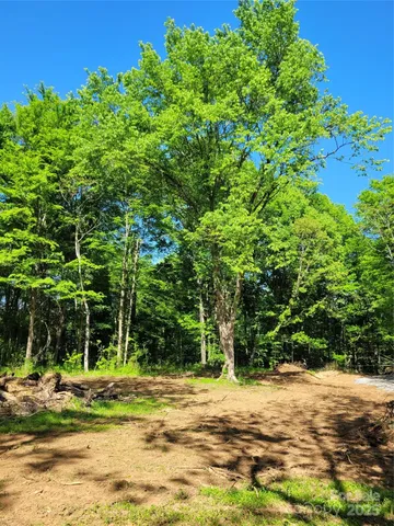 $215,000 | 0 John Morgan Road, Gold Hill, NC 28071