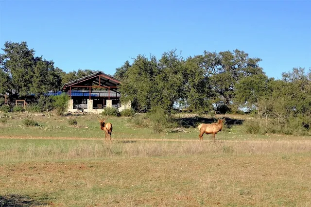 a view of a dry yard with mountains in the background