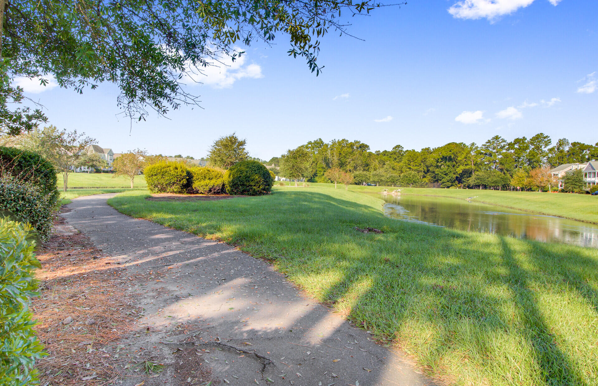 302 Hydrangea Street Summerville, SC 29483 - Photo 55 of 67