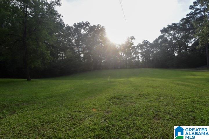 8574 Cardinal Lane Morris, AL 35116 - Photo 38 of 41
