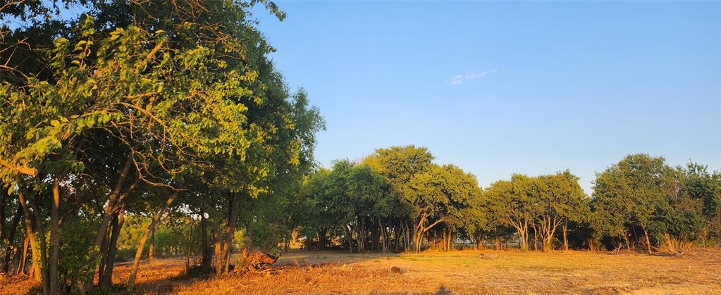 592 Pike Road Gunter, TX 75058 - Photo 10 of 40 View of landscape