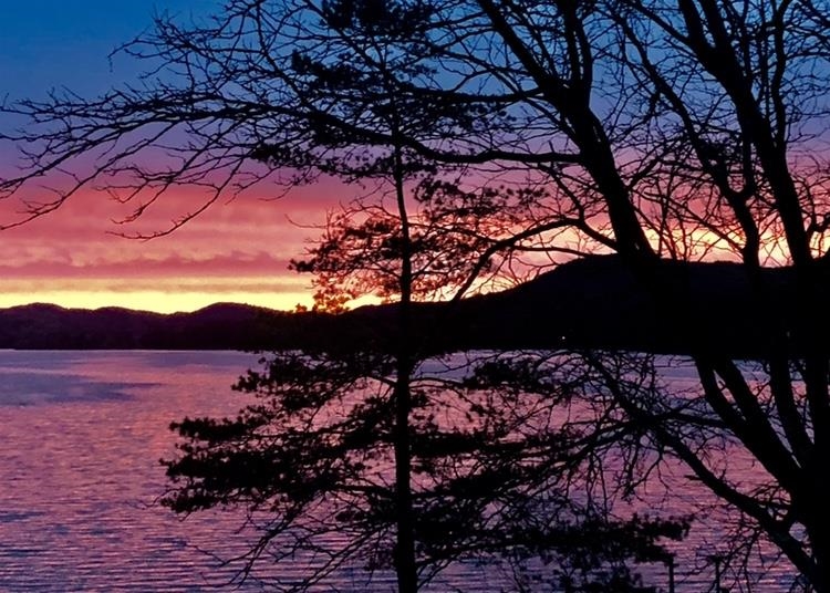 1444 West Lake Road Wells, VT 05774 - Photo 6 of 40