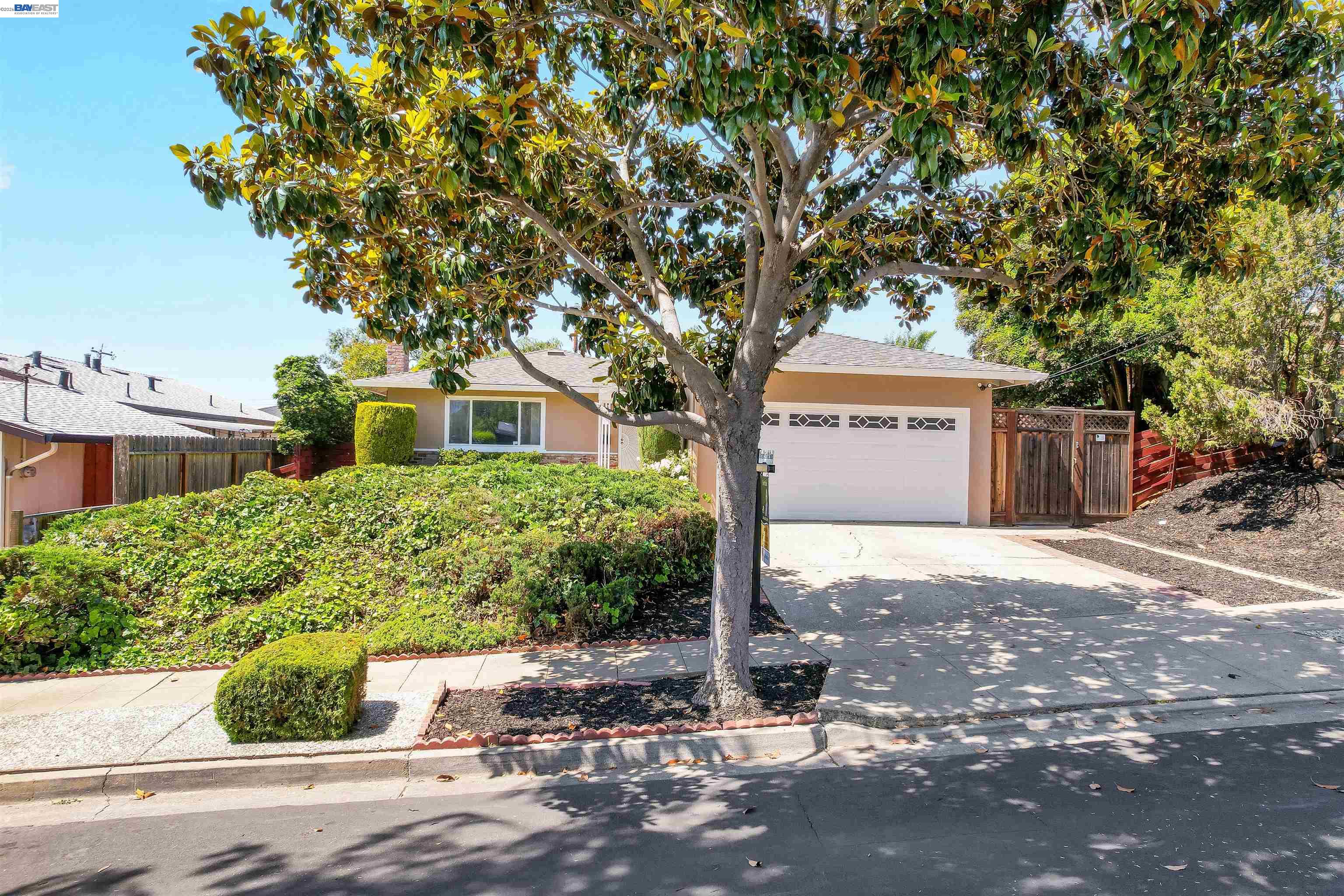 604 Jilliene Way Hayward, CA 94544 - Photo 6 of 62