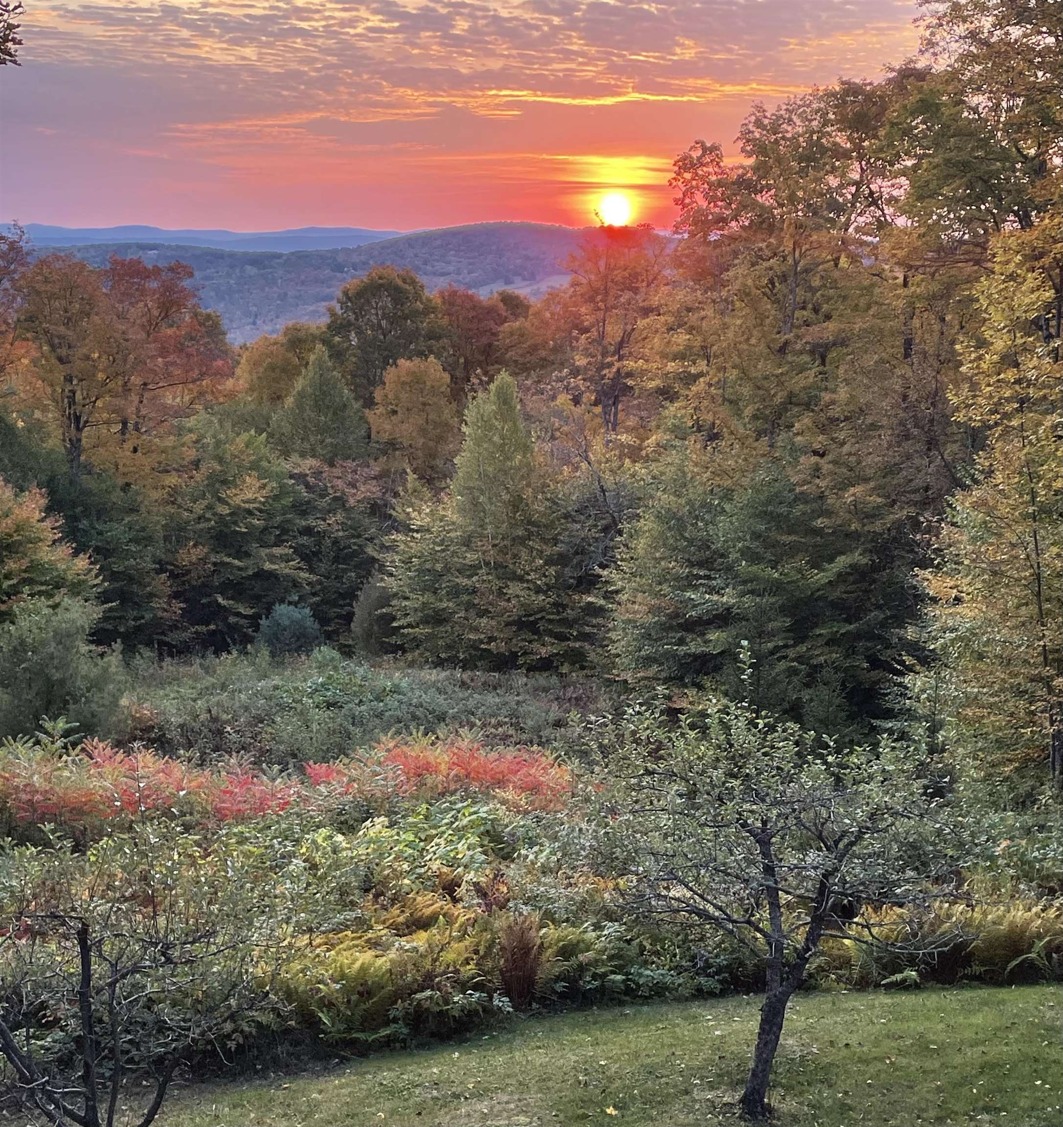 82 Button Hook Lane Barnard, VT 05068 - Photo 8 of 60