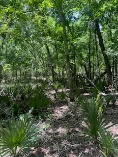 $569,900 | 16227 County Road 489, Brazoria, TX 77422