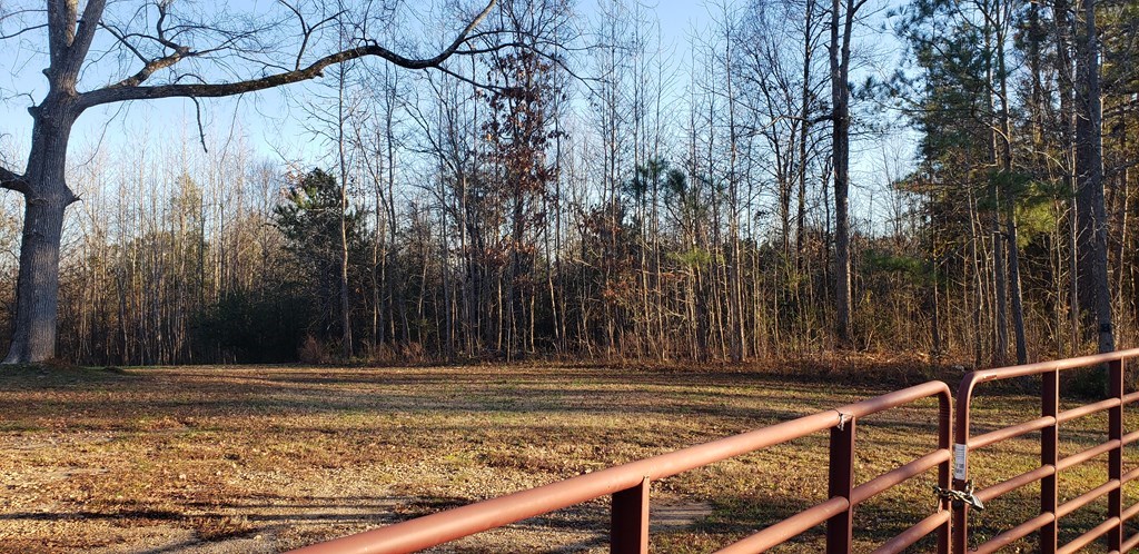 873 Skippers Lodge Road Cross Hill, SC 29332 - Photo 4 of 10 Gallery Image 4