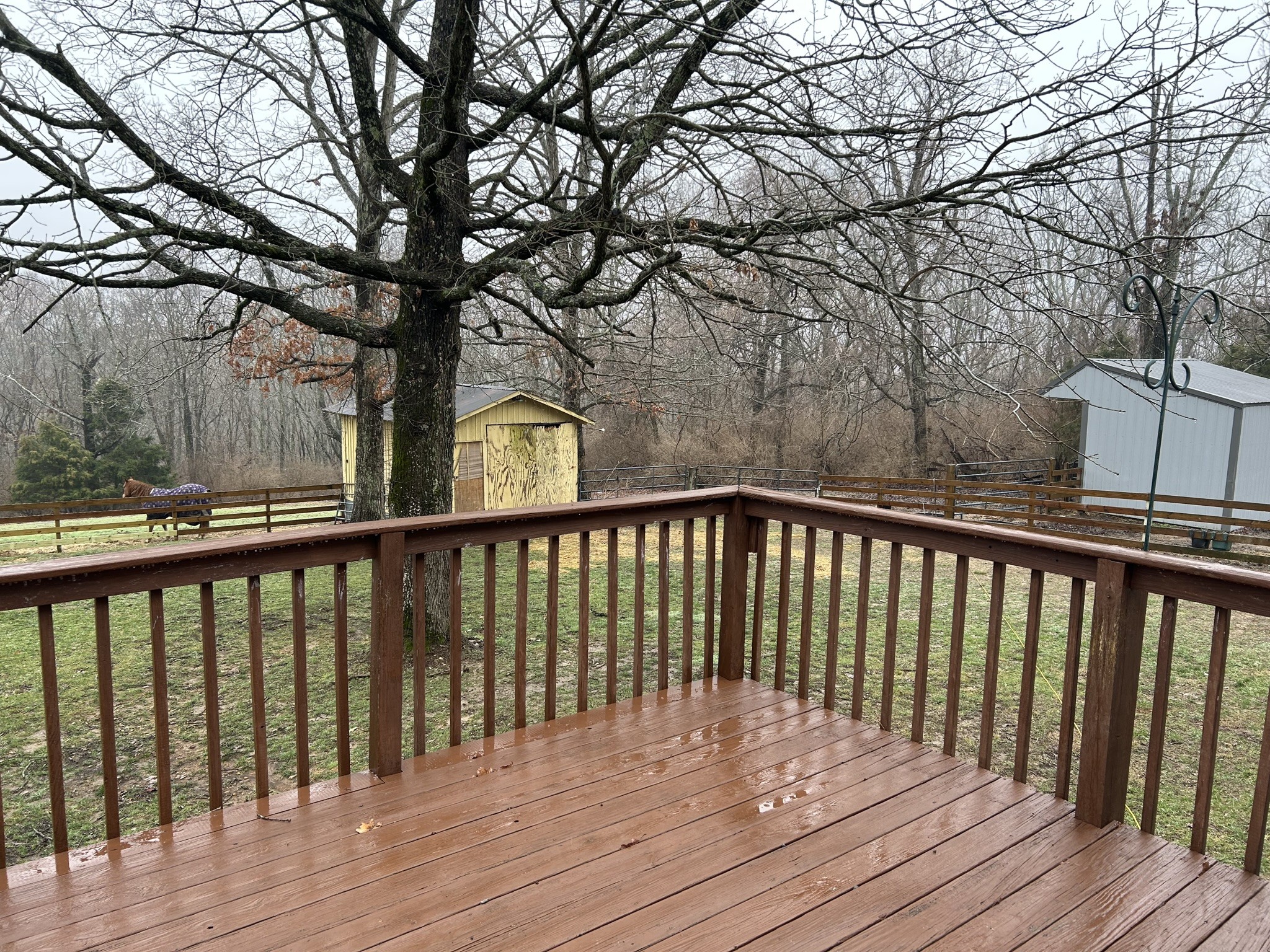 1065 Savely Road Pegram, TN 37143 - Photo 26 of 40 Gallery Image 26