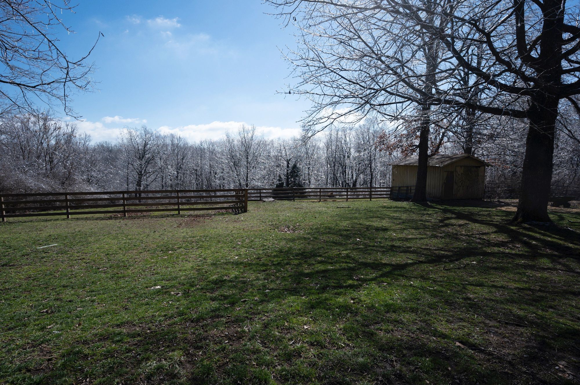 1065 Savely Road Pegram, TN 37143 - Photo 28 of 40 Gallery Image 28