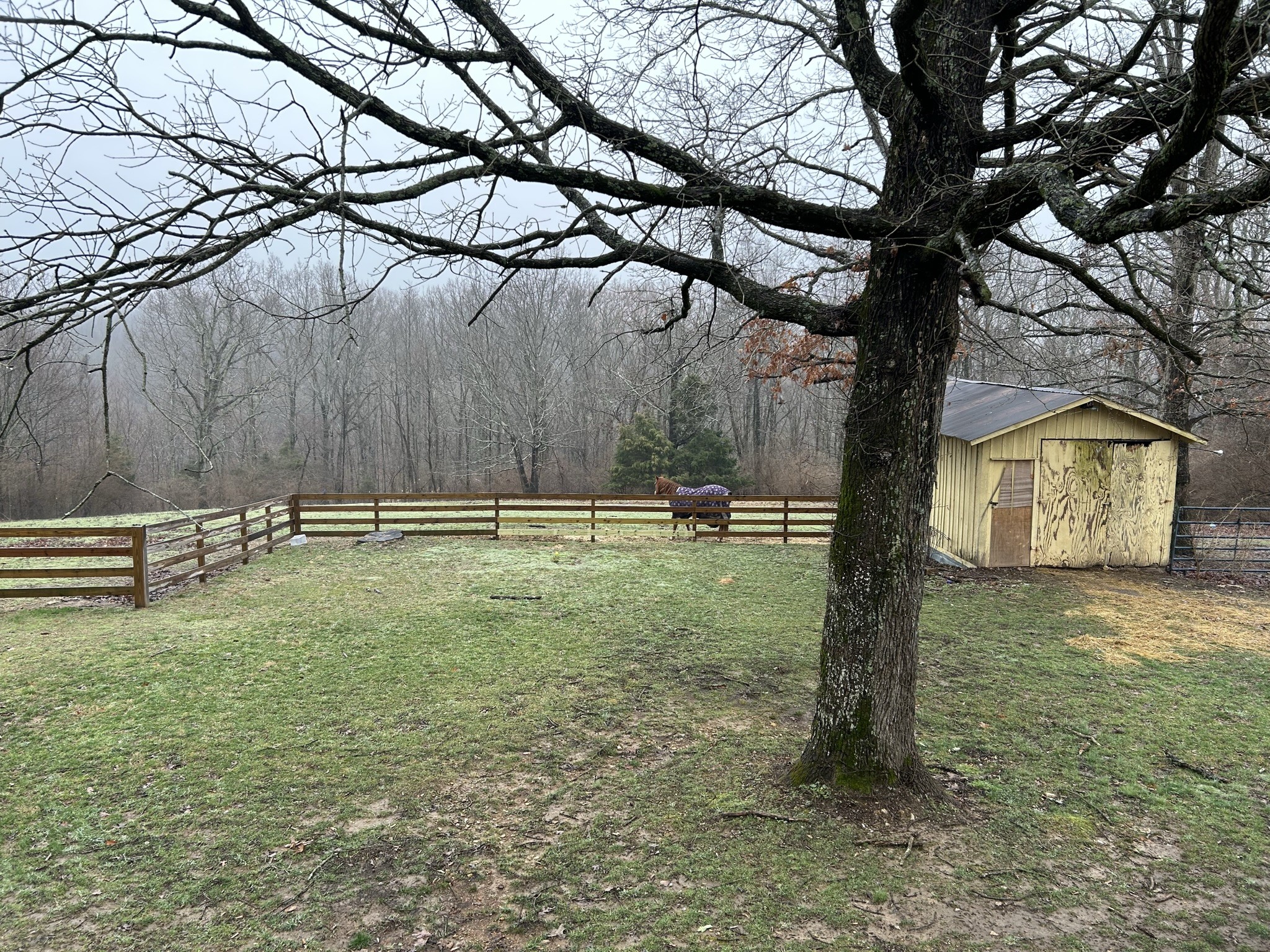1065 Savely Road Pegram, TN 37143 - Photo 29 of 40 Gallery Image 29