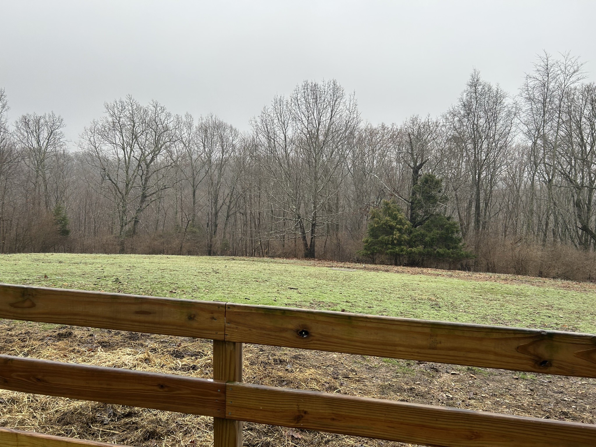 1065 Savely Road Pegram, TN 37143 - Photo 32 of 40 Gallery Image 32