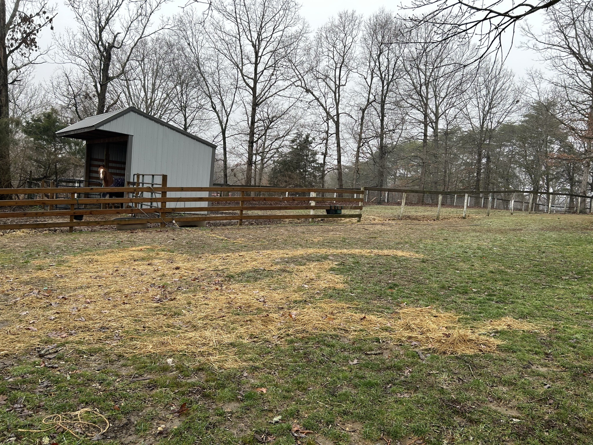 1065 Savely Road Pegram, TN 37143 - Photo 33 of 40 Gallery Image 33