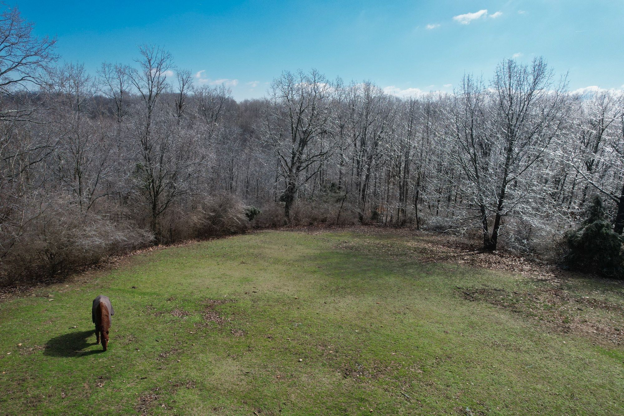 1065 Savely Road Pegram, TN 37143 - Photo 39 of 40 Gallery Image 39