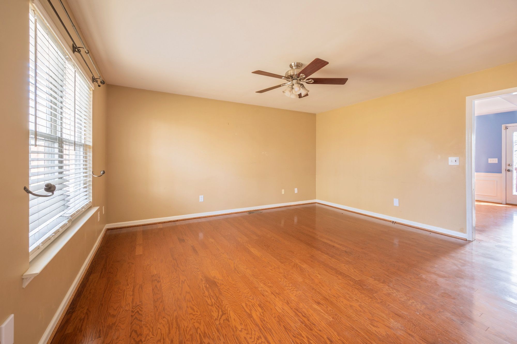 Gallery Image 7