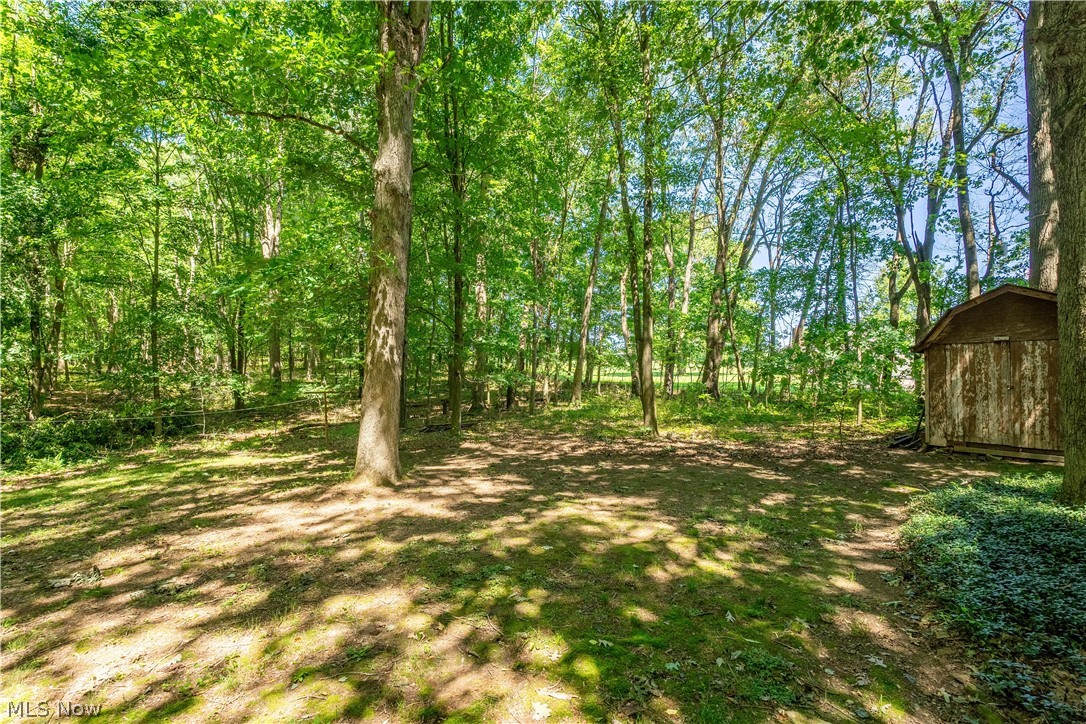 121 Skeleton Road Northwest Dellroy, OH 44620 - Photo 29 of 32