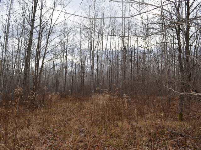 On Armstrong Creek Road Tomahawk, WI 54487 - Photo 13 of 20 Gallery Image 13