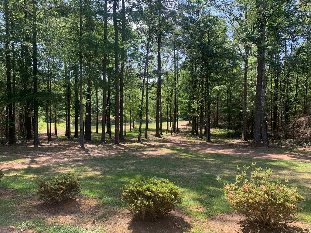 985 Harold Alford Road Osyka, MS 39657 - Photo 30 of 50 Photo 30