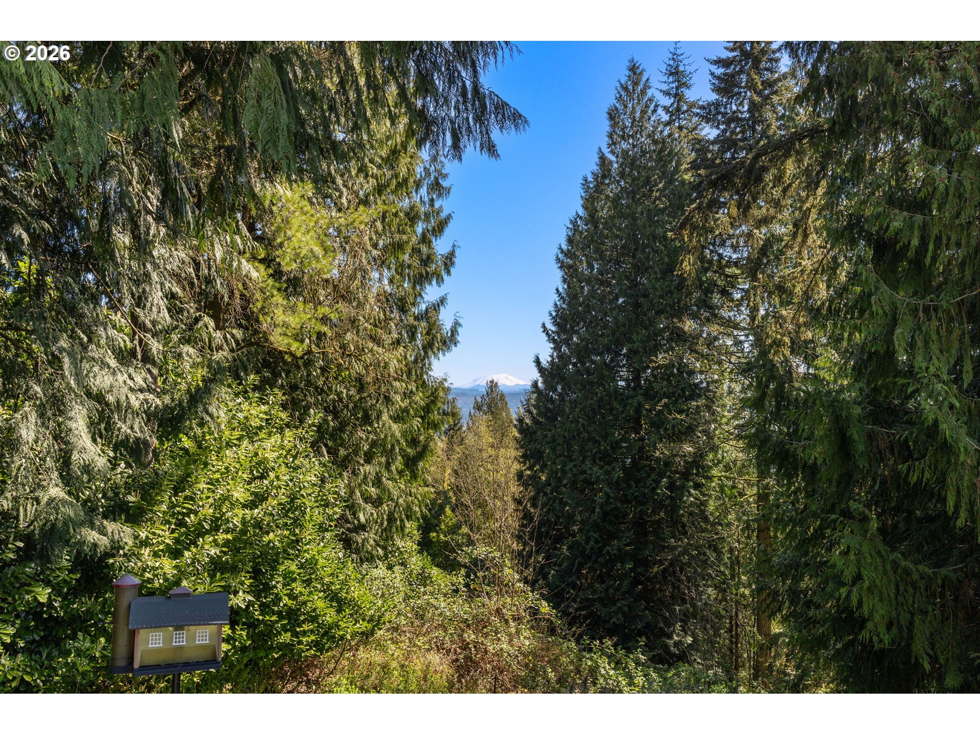 155 Grandview Terrace Longview, WA 98632 - Photo 44 of 48