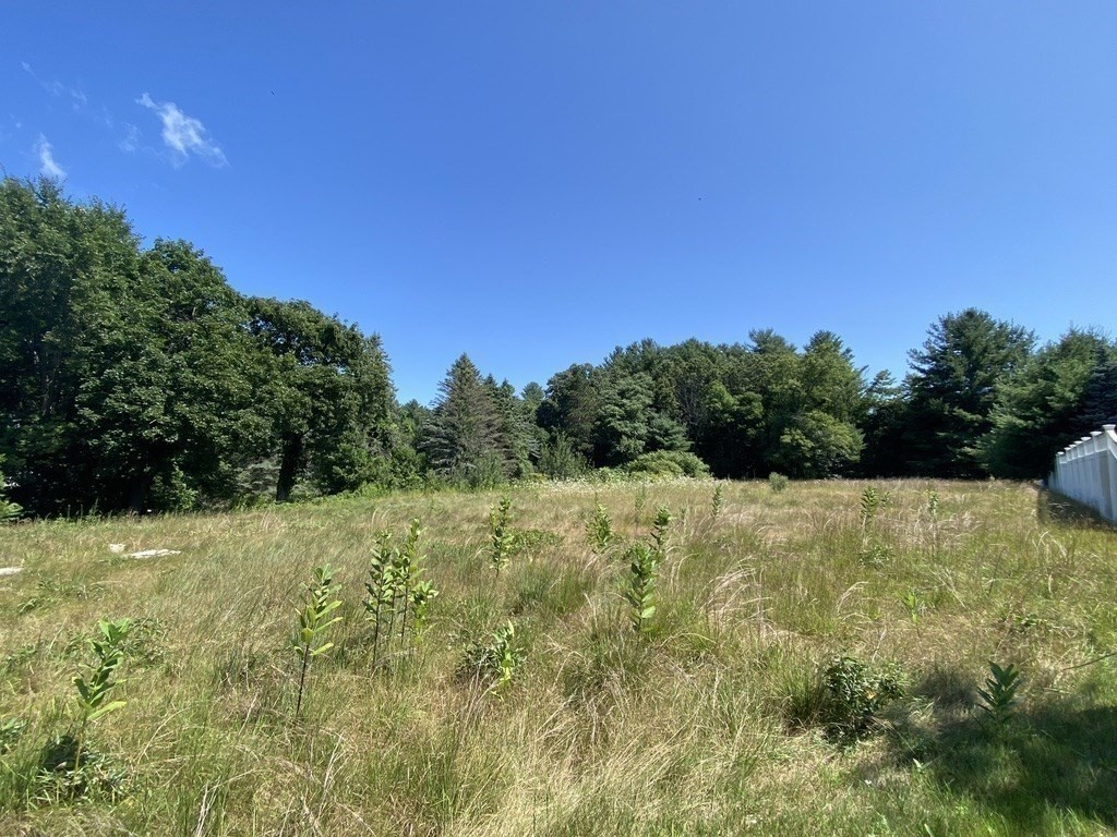 371 Providence Road Grafton, MA 01560 - Photo 5 of 13 Gallery Image 5
