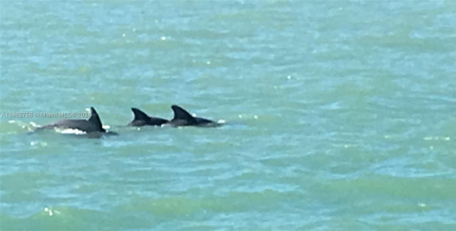 1 Century Lane, Unit 209 Miami Beach, FL 33139 - Photo 49 of 66 a view of an outdoor space