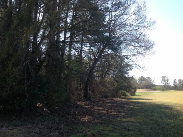 0 Webbs Chapel Road Macclesfield, NC 27852 - Photo 2 of 4 Additional Photo