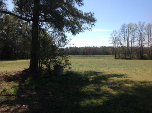 0 Webbs Chapel Road Macclesfield, NC 27852 - Photo 3 of 4 Additional Photo