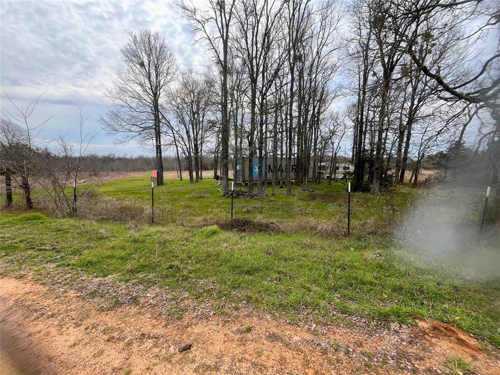 0 Private Road 8608 Tennessee Colony, TX 75861 - Photo 5 of 10 a backyard of apartments with trees