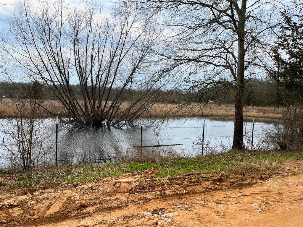 0 Private Road 8608 Tennessee Colony, TX 75861 - Photo 6 of 10 a view of a backyard