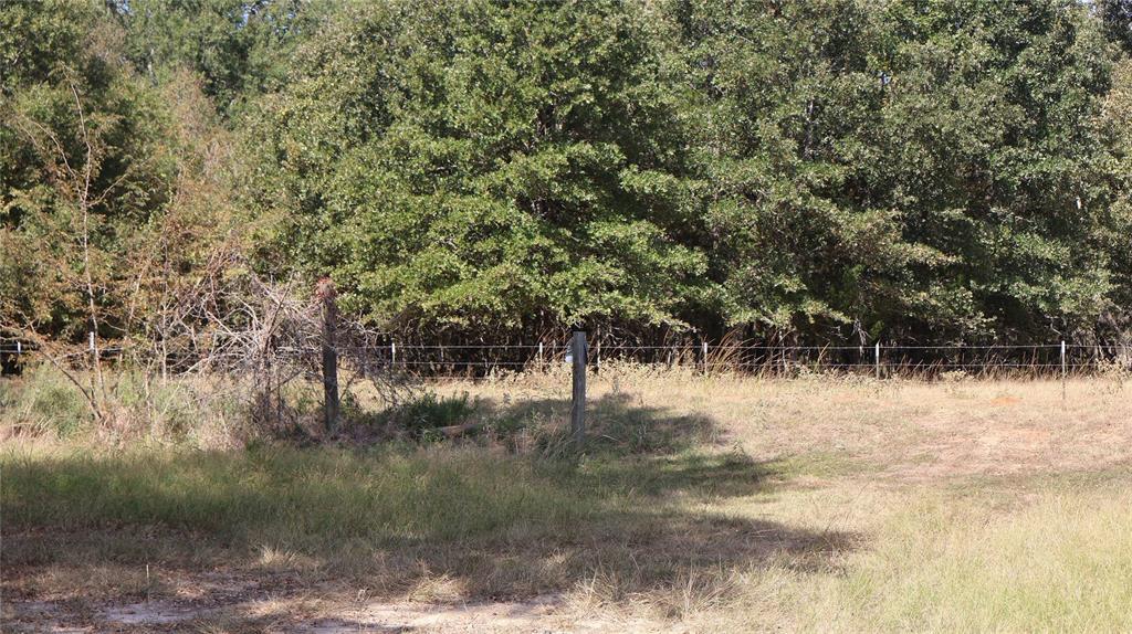 0 Private Road 8608 Tennessee Colony, TX 75861 - Photo 9 of 10 a view of a lake view