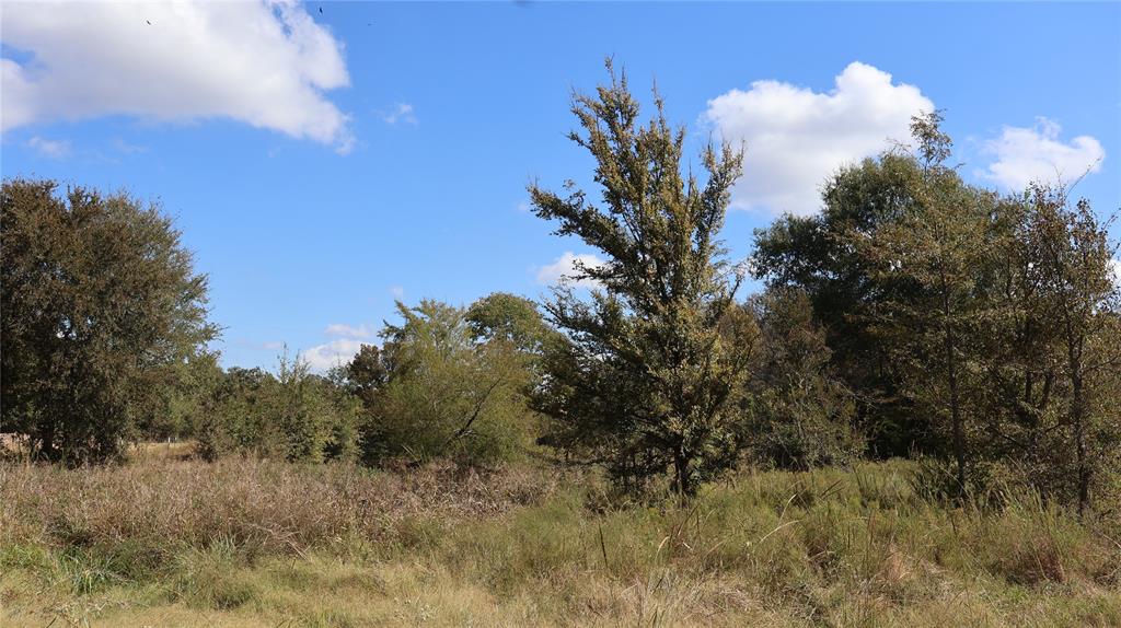 0 Private Road 8608 Tennessee Colony, TX 75861 - Photo 10 of 10 a view of a tree in a field of a house