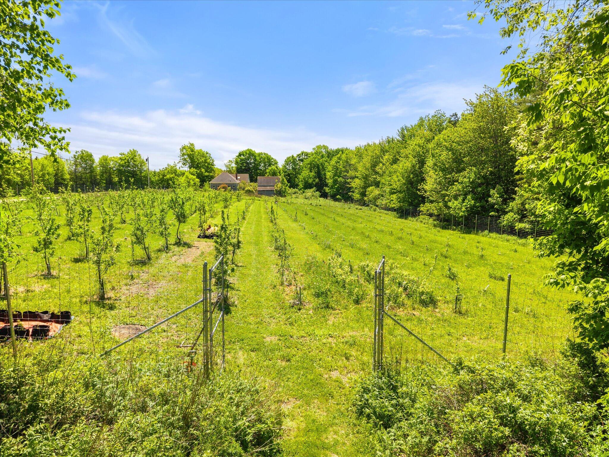 468 Hinckley Ridge Road Blue Hill, ME 04614 - Photo 64 of 74 75-468 Hinkley Ridge Rd