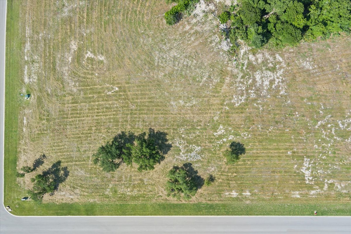 10155 Blanco Springs Road Gatesville, TX 76528 - Photo 3 of 18 A vast, undeveloped parcel bordered by a smooth road, presenting a prime canvas for a future estate.