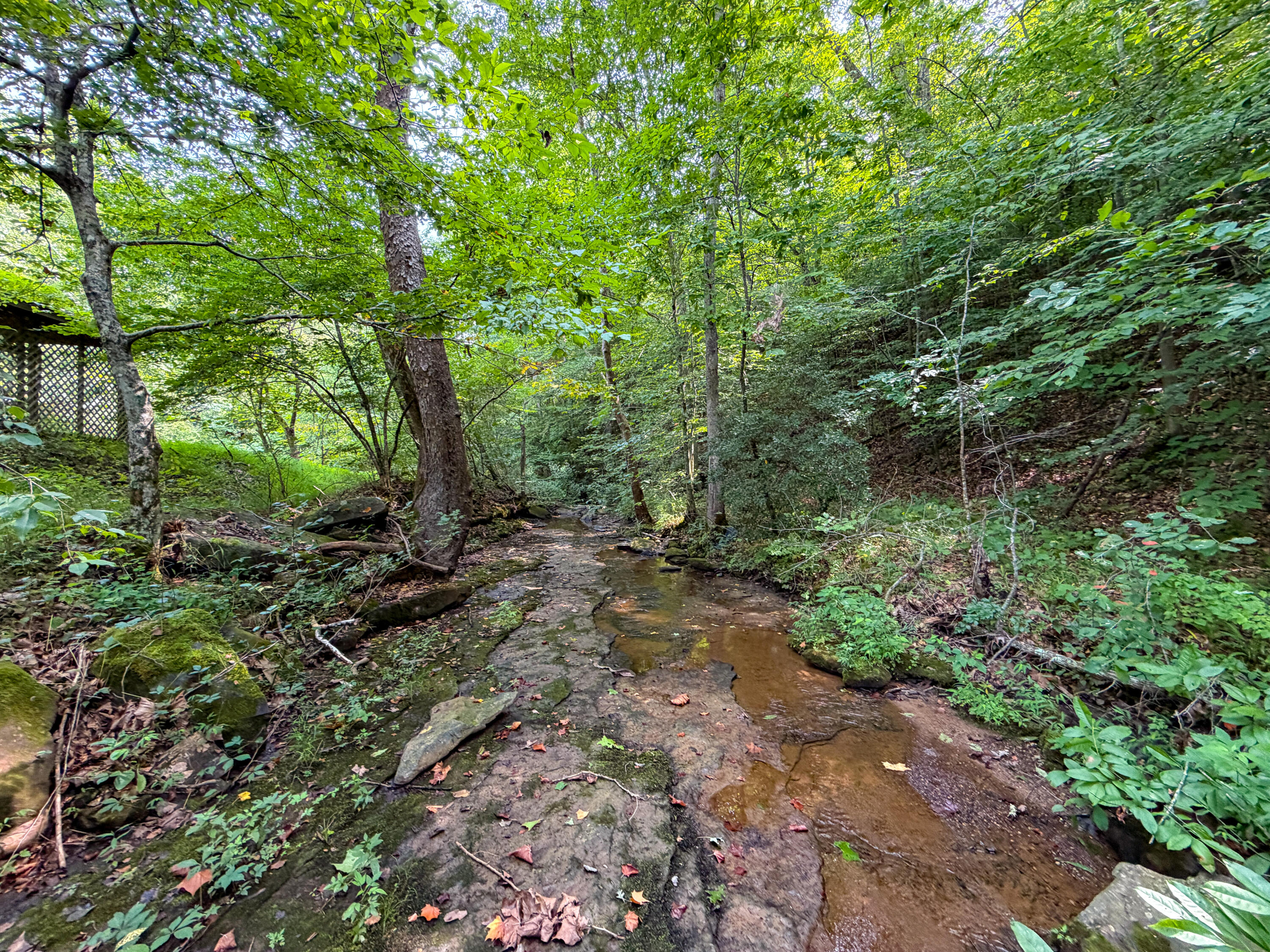 2045 Teges Creek Road Manchester, KY 40962 - Photo 52 of 78 LightroomRealEstateEdits-15
