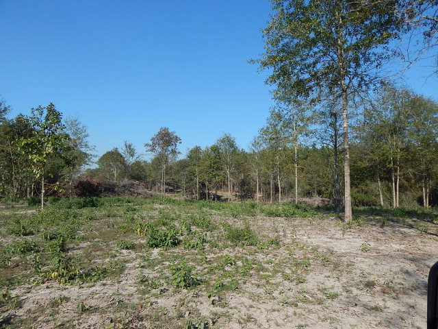 0 Flowers Road Tylertown, MS 39667 - Photo 1 of 1 Main View