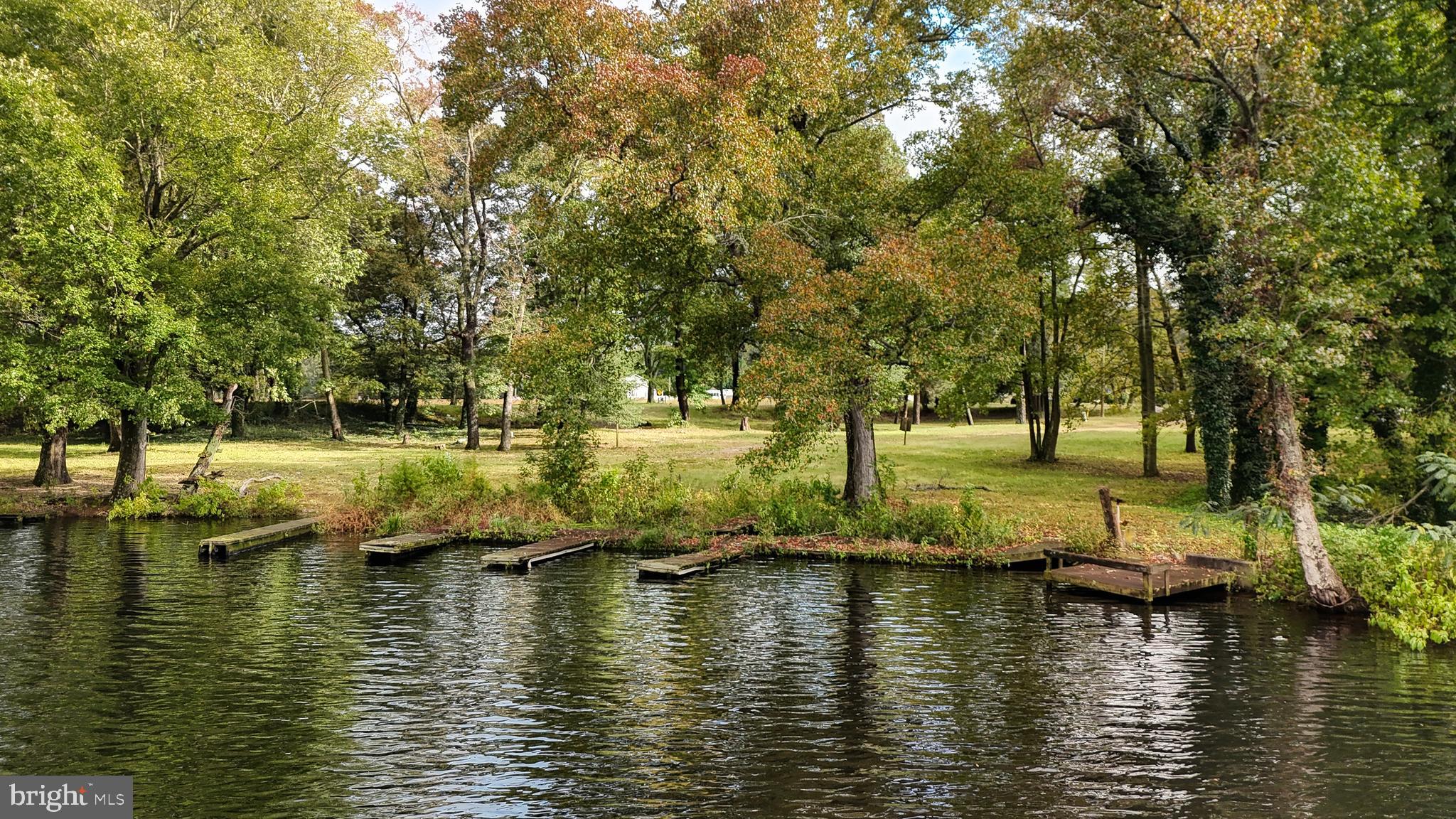 2 William Street Georgetown, DE 19947 - Photo 51 of 54 Morris Mill Pond