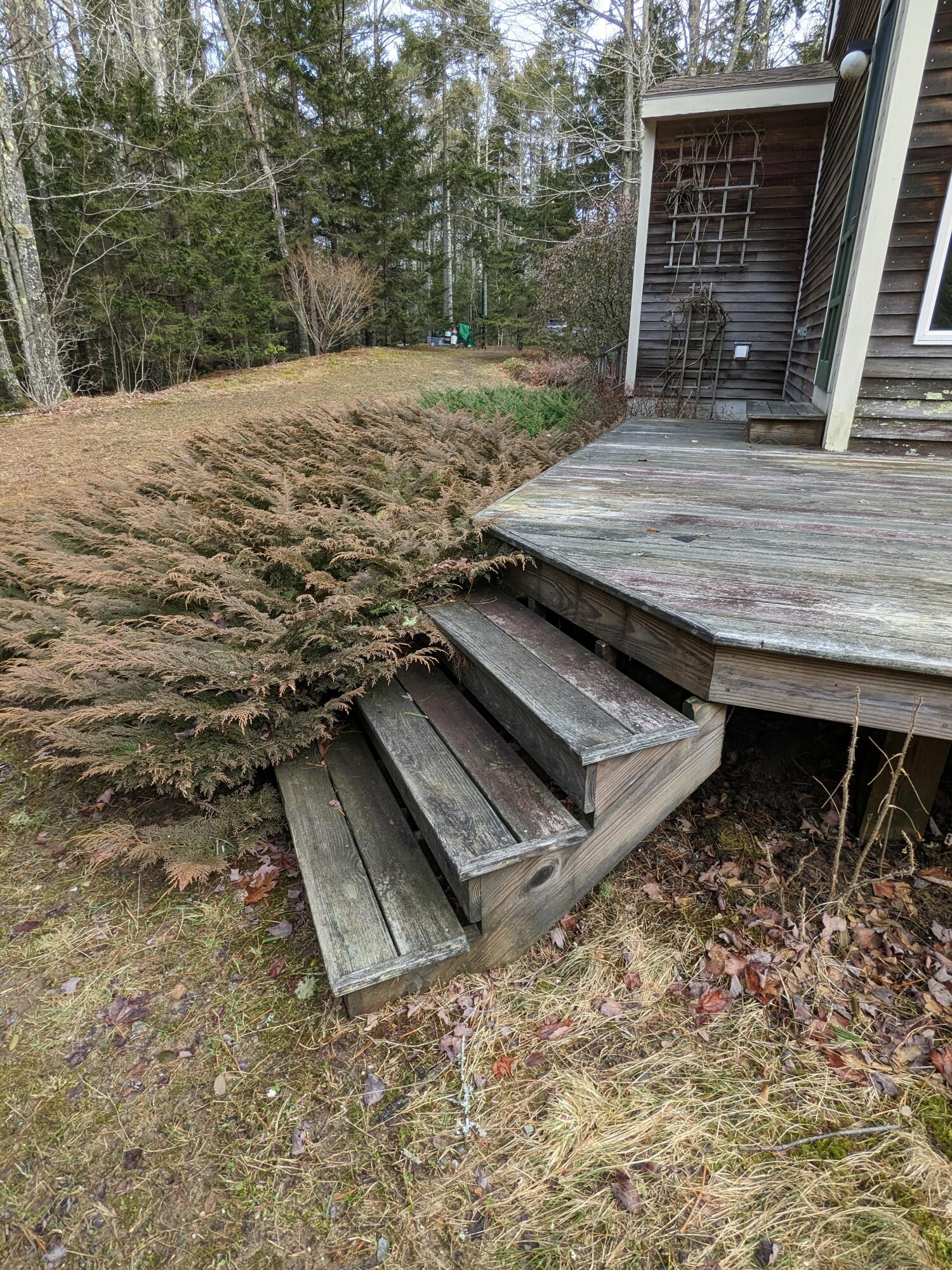34 The Tote Road Harpswell, ME 04079 - Photo 35 of 49 PXL_20240304_142933281