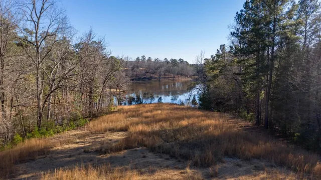 a body of water with a tree in the background
