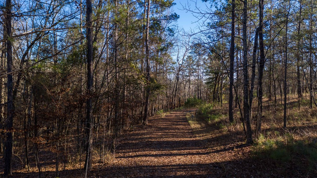 8806 River Road Columbus, GA 31904 - Photo 4 of 32