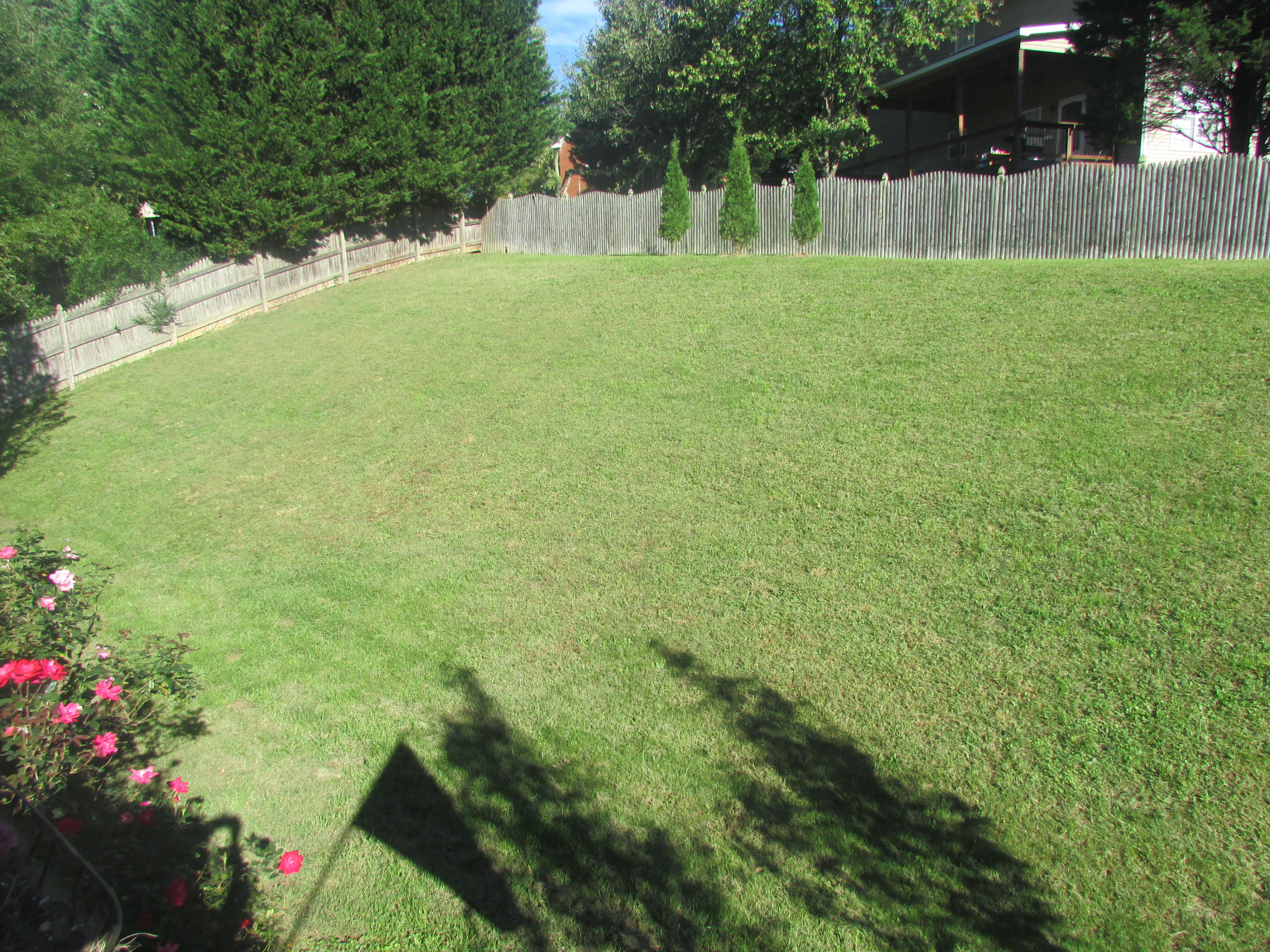 1324 Wineberry Road Powell, TN 37849 - Photo 23 of 27 Privacy Fenced
