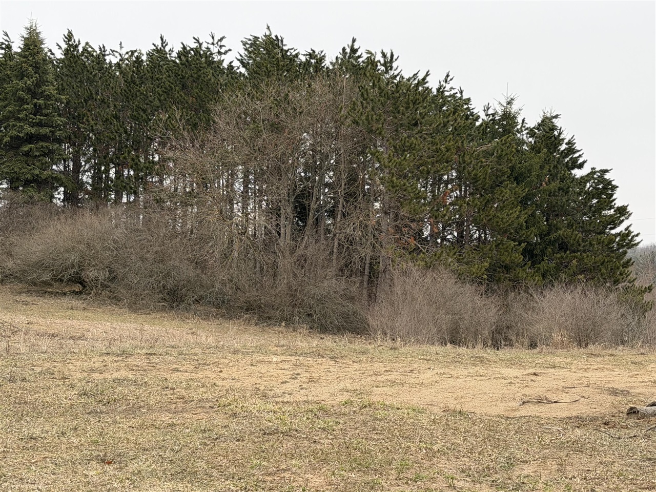 7202 21 Mile Road Evart, MI 49631 - Photo 51 of 69