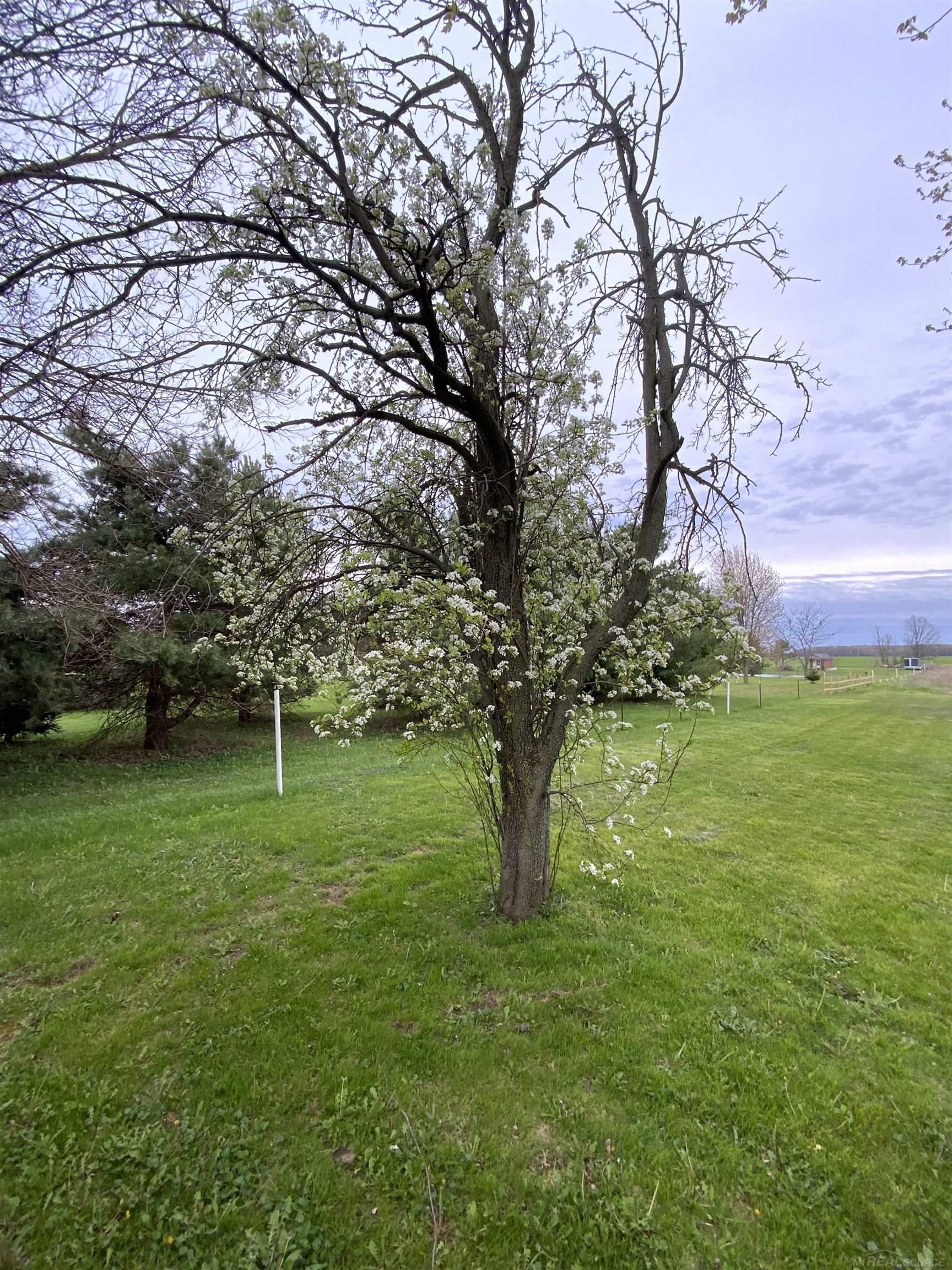 3268 Peck Road Croswell, MI 48422 - Photo 16 of 23